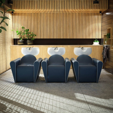 Парикмахерская мойка &quot;Blueswash Shiatsu&quot;