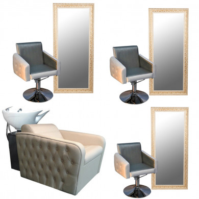 Парикмахерская мойка &quot;Симфония II&quot;