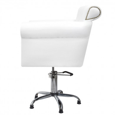 Парикмахерское кресло Demure